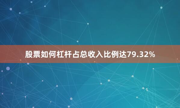 股票如何杠杆占总收入比例达79.32%